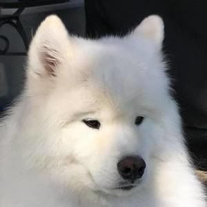 Meet your Posher, Jayne